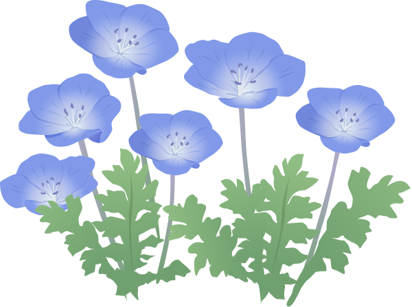 ネモフィラのアイコン