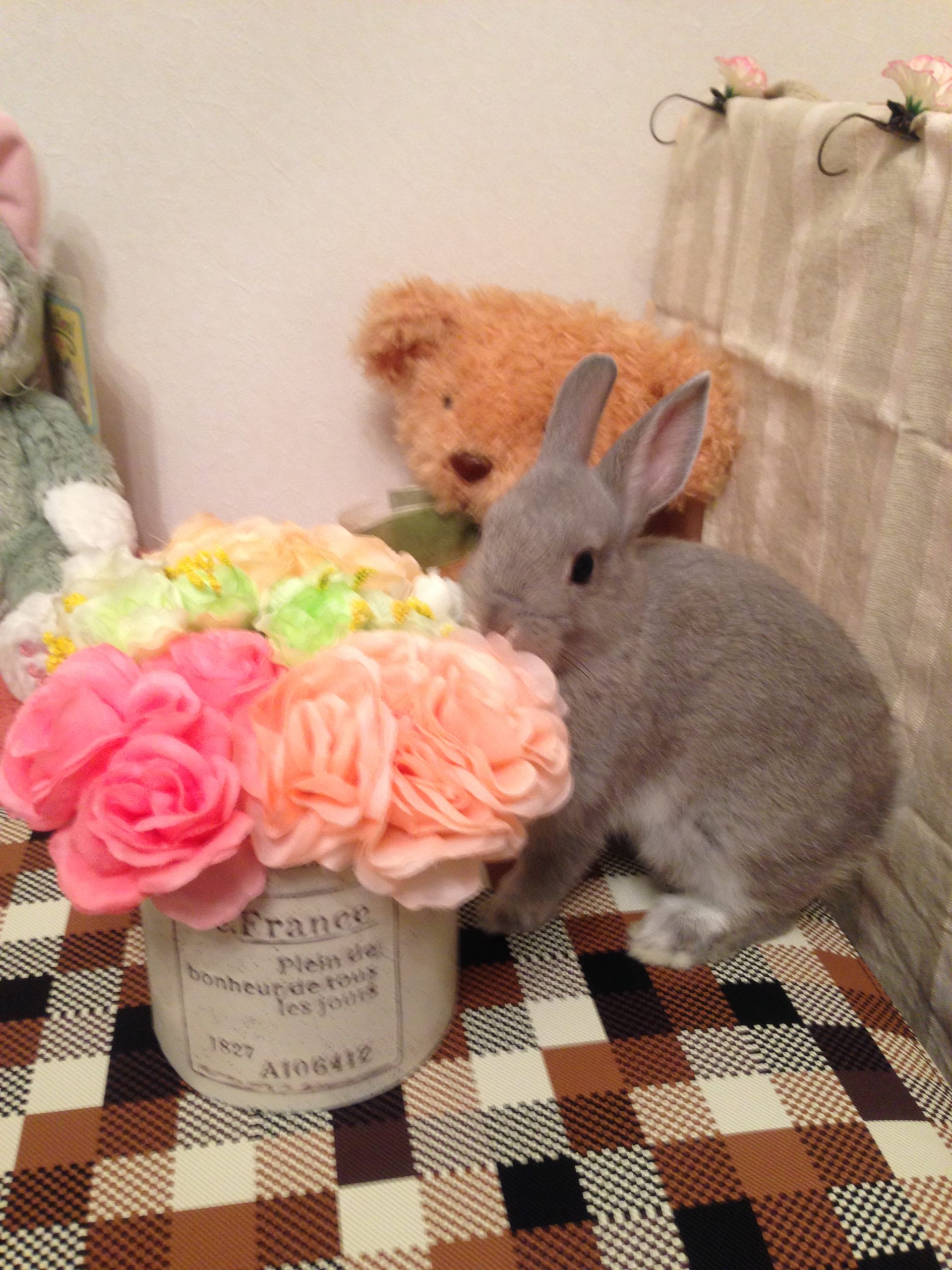 お花とうさぎさん