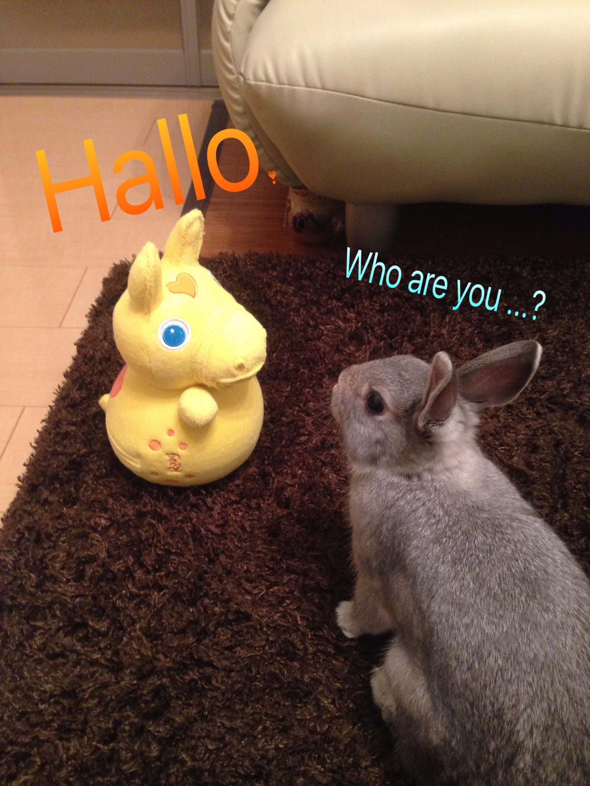 ロディのの人形とうさぎさん